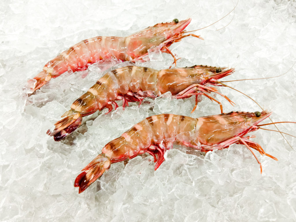 Sea Tiger Prawn - Widegrowth Marine Products Sdn. Bhd.